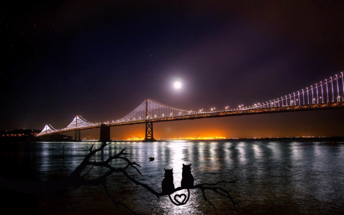 San Francisco Bridge At Night